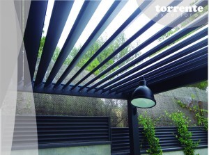 11822714_1015948281762181_6991115437494627162_n-300x223