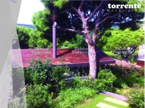 12019948_1044719362218406_7873901619235851718_n-300x223